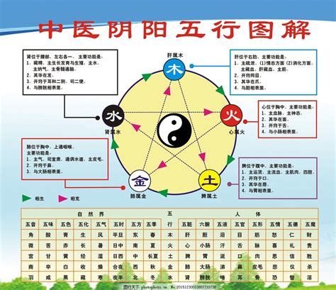 中醫五行|五行